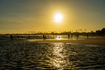 Por do Sol na Praia de Itacimirim 