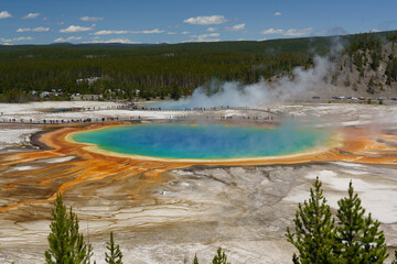Yellowstone national park Wyoming