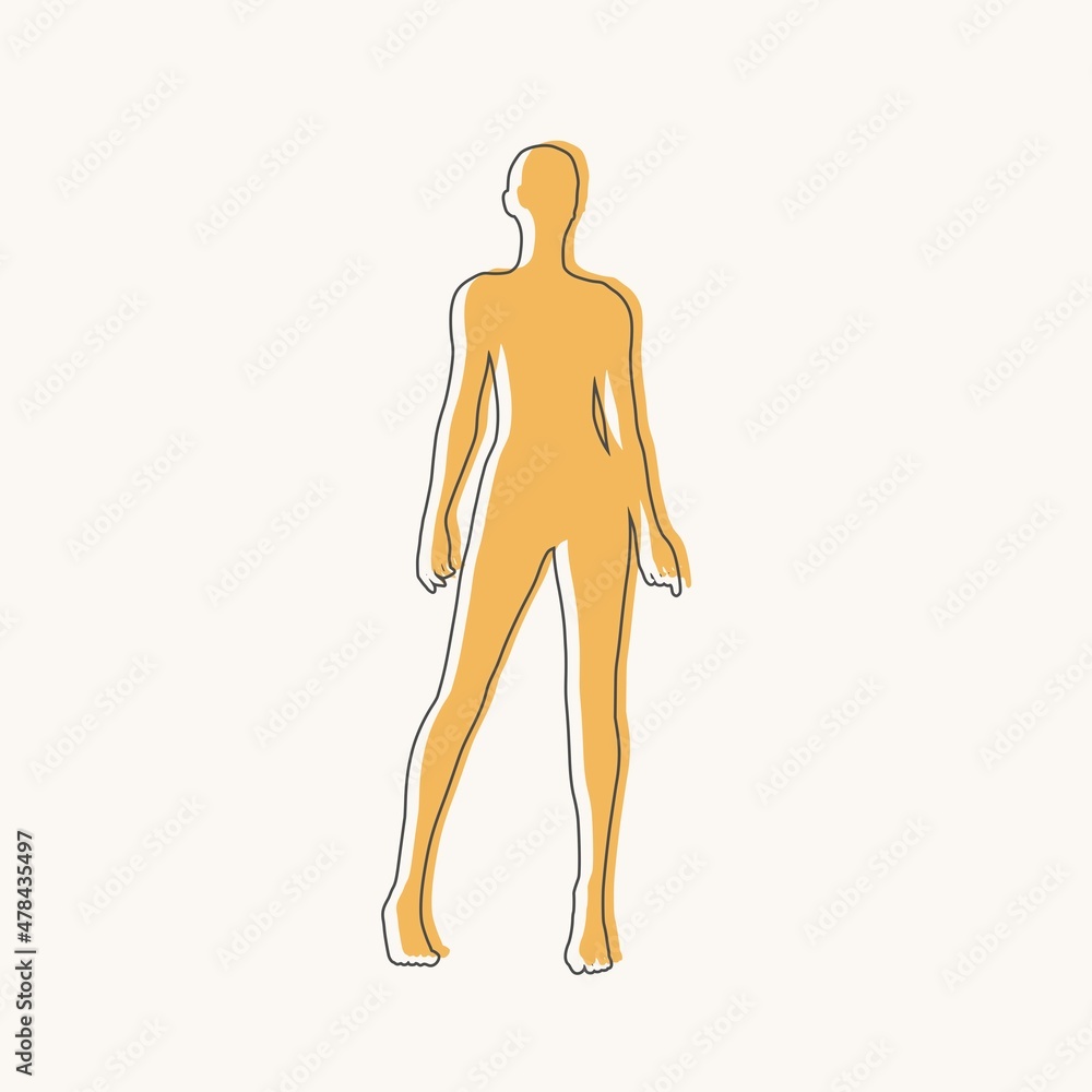 Poster front view human body silhouette of an adult female