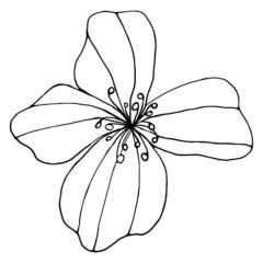 peach tree flower. Doodle. Contour illustration