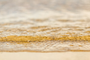 Fototapeta na wymiar Flowing wave on the sea sandy beach. Summer vacation background