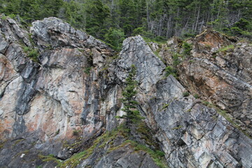 stone wall with moss, Waterton Lakes National Park, Alberta
