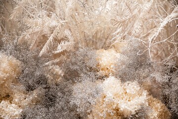 A gorgeous Christmas tree with white snow-like trees and decorations