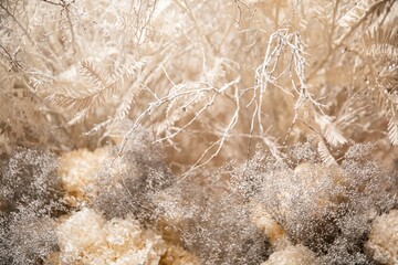 A gorgeous Christmas tree with white snow-like trees and decorations