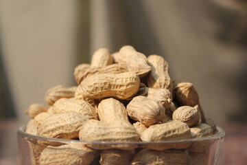 Freshly produce peanuts on a cup