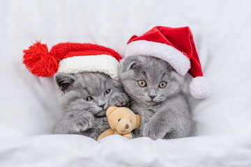 Funny kittens wearing red santa's hats lies under a white blanket on a bed with toy bear. Top down...