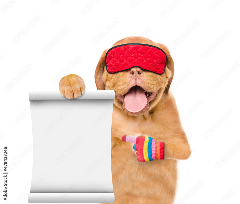 Poster yawning mastiff puppy wearing mask for sleep shows empty list. isolated on white background