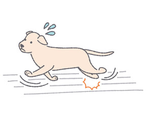 床で足を滑らす犬