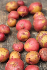 Fresh little red potatoes on a wooden table