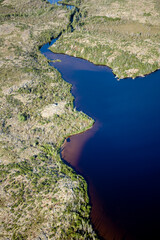 Boreal Forest and Lakes of Nunavik Quebec Canada