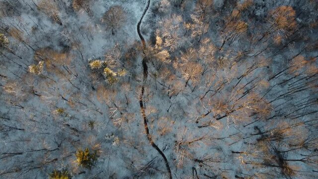 Little bennet regional park in winter - Maryland