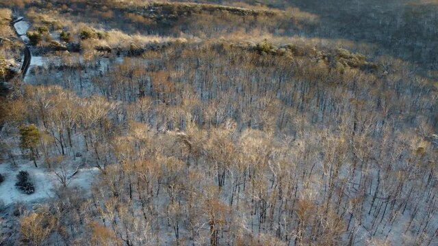 Little bennet regional park in winter - Maryland