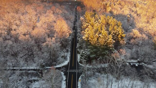 Little bennet regional park in winter - Maryland