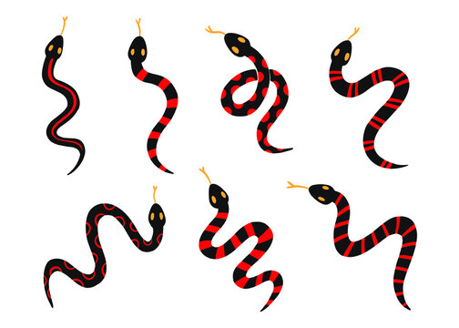 Coral snake doodle vector set. Graphic Clipart Design Collection