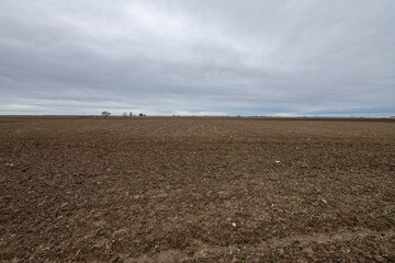 Dirt field on a rainy day