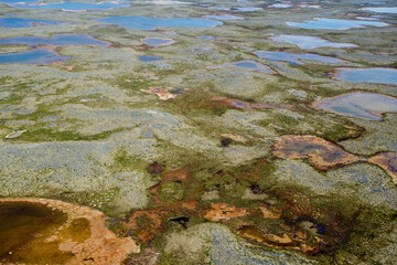 Abstract Tundra Landscape Near Povungnituk Nunavik Quebec Canada