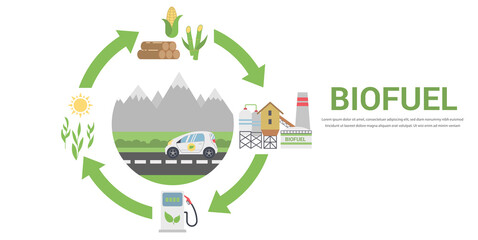 Biofuel life cycle