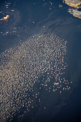 Naklejka na ściany i meble Flamingos at Lake Natron Tanzania