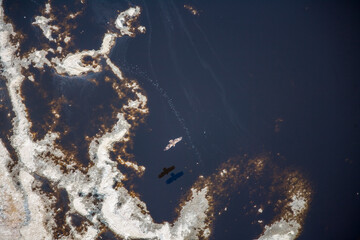 Bird Soaring Over Lake Natron Tanzania
