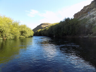 River with mountains and trees 