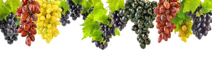 grapes on a green background close-up