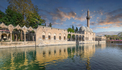 Sanliurfa, Turkey. Balikligol (The Fish Lake). The Pool of Abraham or Pool of Sacred Fish....