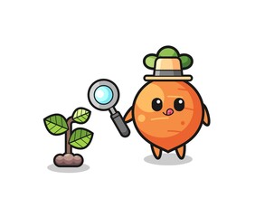 cute carrot herbalist researching a plants