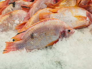 Red Tilapia Fish for sell on the ice at fresh market. Red Tilapia (Thai: Pla tabtim) is a very popular in Thailand.