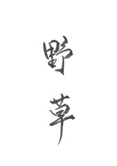 筆文字「野草」
