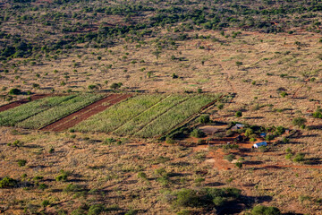 Farming in Tsavo West. Kenya.