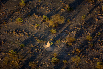 Termite Mound Shombole Area of Kenya