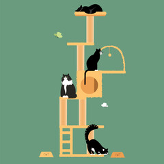 a game complex for cats. vector image of shelves for pets. cattery. houses for cats