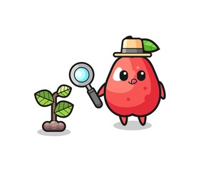 cute water apple herbalist researching a plants