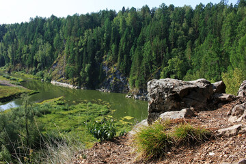 Trees grow on the banks of the rocky shore