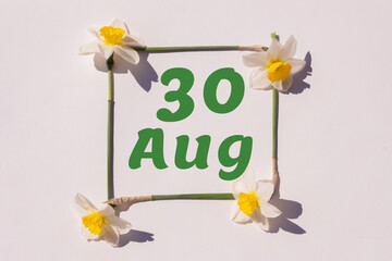 August 30th. Day 30 of month, calendar date. Frame from flowers of a narcissus on a light background, pattern. View from above. Summer month, day of the year concept.