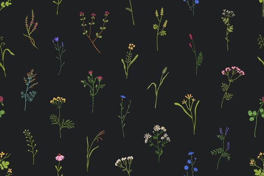 Flowers pattern. Seamless floral background with wildflowers print. Repeating botanical design for fabric and wrapping. Wild meadow plants texture. Colored flat vector illustration for decoration
