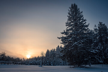 Cold sunrise in Lithuanian village. Bright yellow sky, dark shadows in the woods, February morning in the wilderness. Selective focus on the details, blurred background.