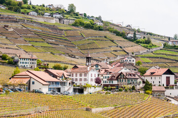 Lavaux, Weiler Aran, Lutry, Genfersee, Weinberge, Dorf, See, Seeufer, Wanderweg,...