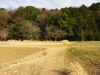 農道のある早春の里山風景