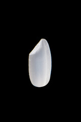 one white rice isolated on black background