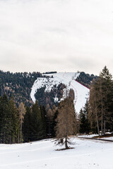 Fototapeta premium trees around the snow mountain, folgaria ski mountain