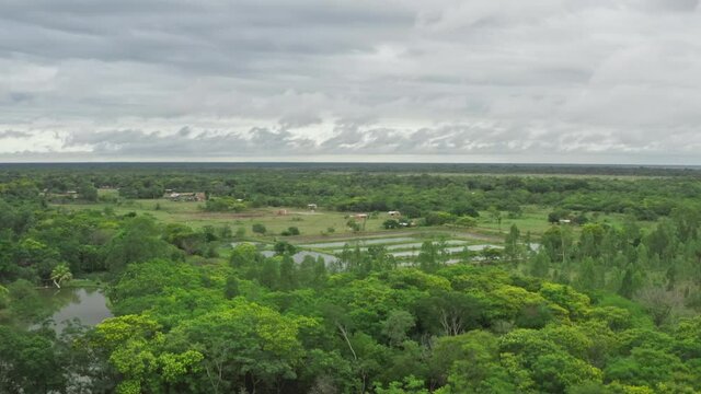 Aerial view nature Paraguay. Beautiful forests on the plains landscape of places where cows graze.