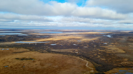 Tundra, aerial photography. Jamal Region, Russia. Landscape