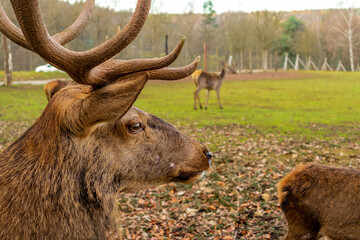 Erkundungstour durch das schöne Werratal an einem kalten Wintertag - Breitungen - Seeblick