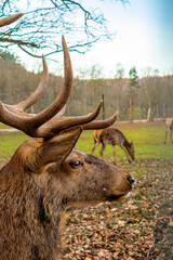 Erkundungstour durch das schöne Werratal an einem kalten Wintertag - Breitungen - Seeblick