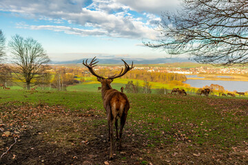 Naklejka premium Erkundungstour durch das schöne Werratal an einem kalten Wintertag - Breitungen - Seeblick