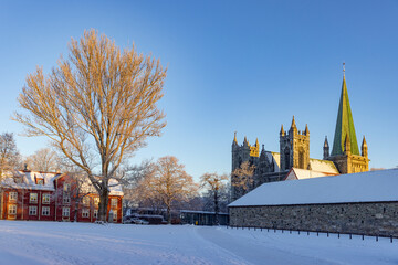 Fototapete bei efototapeten.de bestellen   