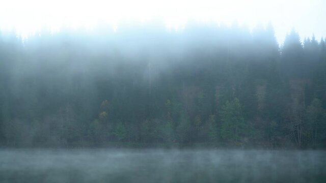 2 unidentified people walking around Savsat Karagol Black lake in Eastern Black Sea with morning evaporation. Savsat Karagol lake is a large trout lake in the forest in Savsat, Artvin, Turkey