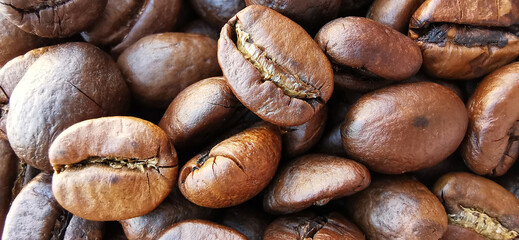 Roasted coffee beans, Arabica, and large robata, place a full area.