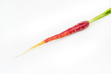 Freshly harvested mini red carrots on isolated white background